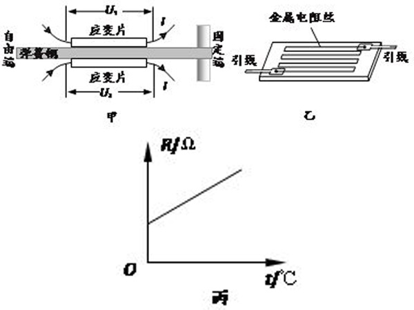 傳感器內(nèi)部應變片結(jié)構(gòu)示意圖